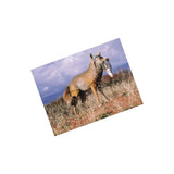 Flambeau Lone Howler Coyote Decoy